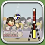 Sports Heads Volleyball logo